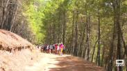 "Camino abierto" el campamento itinerante de la diócesis de Sigüenza