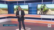 Debate territorial por el vino - 10/07/2026