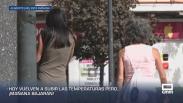 Previsión del tiempo - 11/07/2026
