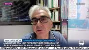 Entrevista a David Badía - 23/7/2026