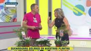 Consejos, cuidados y respuestas para tu jardín con Ángel Agudo
