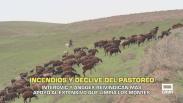 Incendios y declive del pastoreo - 23/07/2026