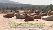 El campo - 27/07/2026