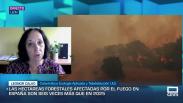 Entrevista a Leonor Calvo - 30/7/2026