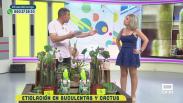 Etiolación en suculentas y cactus