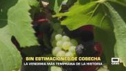 El campo - 03/08/2026
