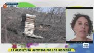 La apicultura. Afectada por los incendios
