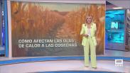 Castilla-La Mancha fin de semana a las 8 09/08/2026
