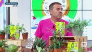 Prunia. Protector natural de las plantas