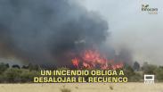 Castilla-La Mancha a las 8 - 14/08/2026