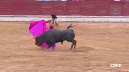Novillada mixta desde Sigüenza (15/08/2026)
