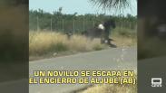 El día en Titulares. 17/08/2026