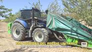 Hoy entra en vigor el nuevo seguro - 18/08/2026