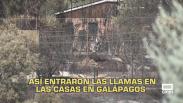 Castilla-La Mancha a las 8 - 18/08/2026