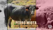 Tiempo de toros (22/08/2026)