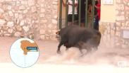 Vivimos de cerca los encierros de Lupiana