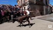 Los encierros, protagonistas en las fiestas de Mejorada