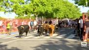 Illescas despide sus fiestas con un encierro urbano