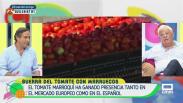 Guerra del tomate