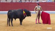 Novillada desde Villaseca de la Sagra (04/09/2026)