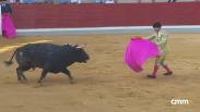 Novillada desde Villaseca de la Sagra (07/09/2026)