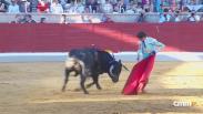 Alfarero de Oro desde Villaseca de la Sagra (10/09/2026)