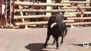 Elche de la Sierra da el pistoletazo de salida a sus encierros