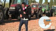 Concurso de corte con tractor en Munera