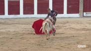 V Trofeo Domingo Ortega: novillada sin picadores desde Talavera de la Reina (26/09/2026)