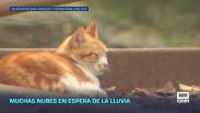Previsión del tiempo - 01/10/2026