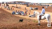 Encierro por el campo en Málaga del Fresno