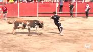 Cardiel de los Montes finaliza sus fiestas con un encierro y arroz con bogavante