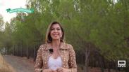 Este miércoles se estrena la 10ª edición de 'El Pueblo Más Bonito de Castilla-La Mancha'