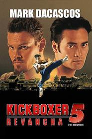 Cartel película Kickboxer 5