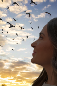 EcoPlayer 26 - El impacto del clima en las aves migratorias