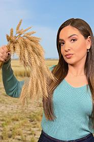 cartel ecoplayer albacete desertificación