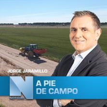A Pie de Campo (10/12/2022)