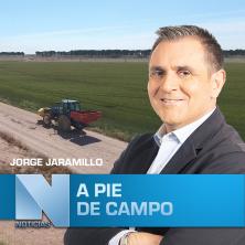 A Pie de Campo (17/12/2022)