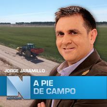 A Pie de Campo (31/12/2022)