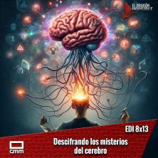 EDI 8x13 - Descifrando los misterios del cerebro