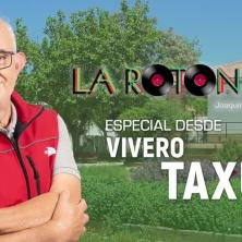 Especial La rotonda desde Vivero Taxus (20/05/2025)