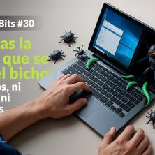 No abras la puerta que se cuela el bicho: Ni gusanos, ni troyanos, ni sabandijas digitales