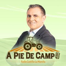 A pie de campo (01/08/2026)