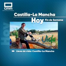 Llena de Vida Castilla-La Mancha (09/08/2026)