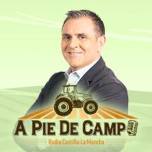 A pie de campo (29/08/2026)