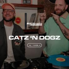 Catz ’N Dogz en Al Habla: Finally, canciones para quedarse