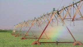 Nivel de déficit hídrico en los cultivos leñosos