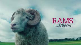 Rams