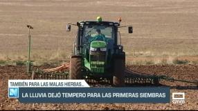 La lluvia dejó tempero para las primeras siembras - 29/09/23