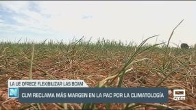 Castilla-La Mancha reclama más margen en la PAC por la climatología - 18/03/24